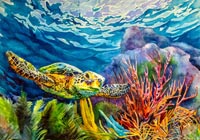 "Sea Turtle" Betty Ann Medeiros Watercolor